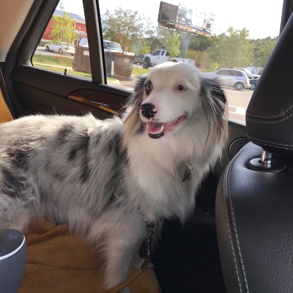 Meet your Posher, Jessica - Picture 5 of 5